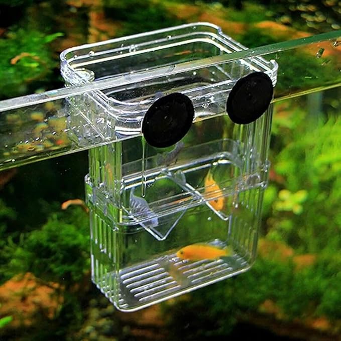 Generic Aquarium Fish Tank Hatchery Incubator Breeding Box, Transparent Fish Isolation Box Acclimation Hatchery, for Baby Fish Shrimp Clownfish Guppy (S)