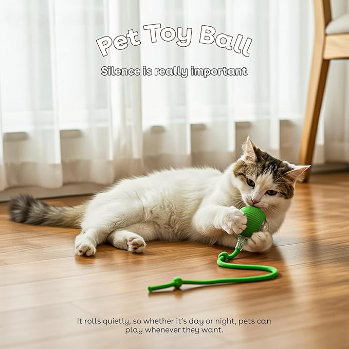 Interactive Cat Toy Ball, Automatic Intercative Cat Toys for Indoor Cats, The 3rd Generation Agile Moving Cat Ball with Elastic Mesh Tail, Toys for Indoor Adult Cats - Pack of 3 (Red, Green, Blue)