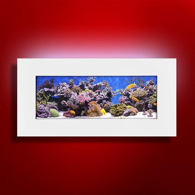 Aussie Aquariums AA-Skyline-MWHITE 2.0 Wall Mounted Aquarium, Matte White