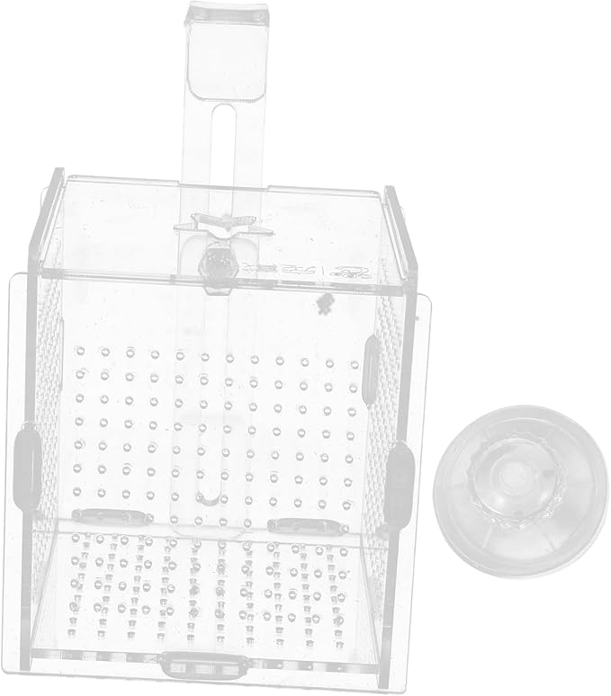 BESPORTBLE 1set Acrylic Fish Isolation Box for Aquariums Breeding Tank Divider Cups Design for Easy Observation and Sturdy for Fish Safety