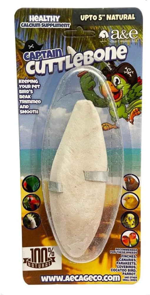 A&E Cage Company Natural Flavoring 5in Cuttlebone Single
