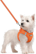 rabbitgoo Dog Harness Small Sized and Leash Set, Step in Soft Light Puppy Vest, Breathable Mesh Pet Harness, Reflective for Safe Easy Walking, Orange S