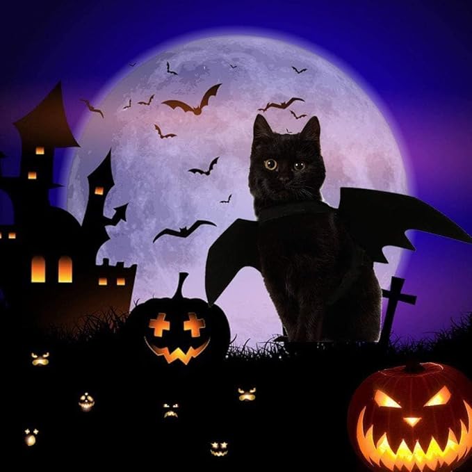 Cat Halloween Costume Bat Wings Pet Apparel Halloween Party Dress Up Accessories for Cat Small Dogs Puppy Kitty Kitten Boy or Girl (Style 1)