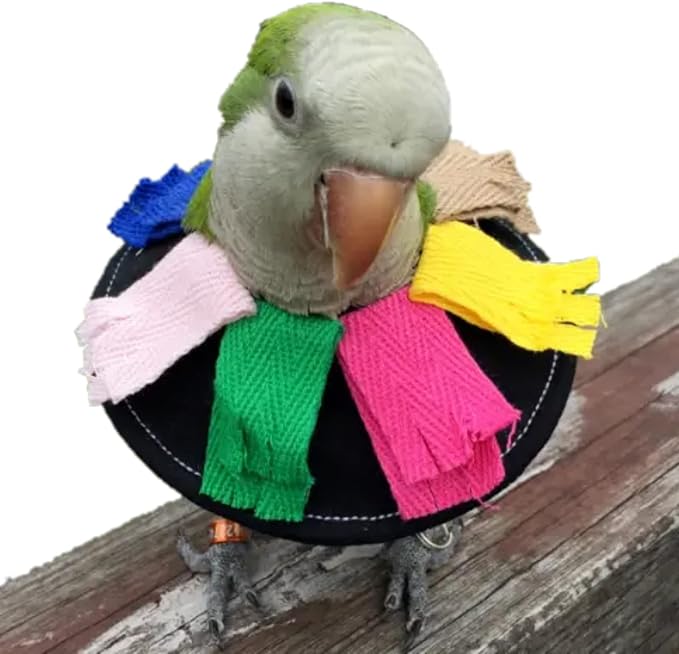 Adjustable Bird Collar Anti Bite Elizabethan Recovery Cone, Bird Neck Protector for Feather Plucking, Skin-Friendly Bird Black B3 B3