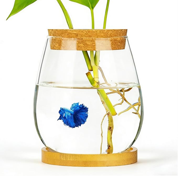 0.5 Gallon Fish Bowl Betta Fish Tank Glass Aquarium with Wood Lid & Bamboo Stand – Hydroponic Plants Planter, Glass Vase, Gift