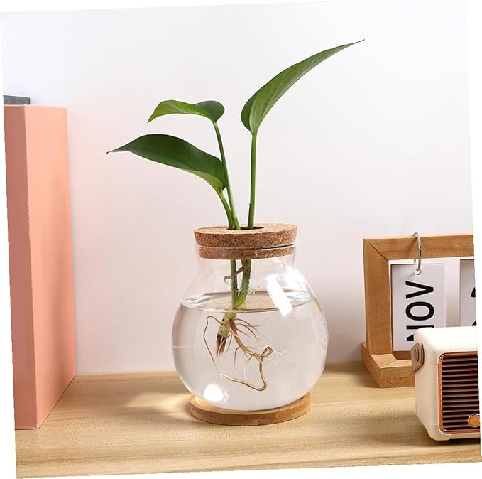 Small Hydroponic Glass Fish Tank with Lid, Mini Betta Fish Bowl 10x11cm with Mat for Desktop Aquarium Terrarium Decor