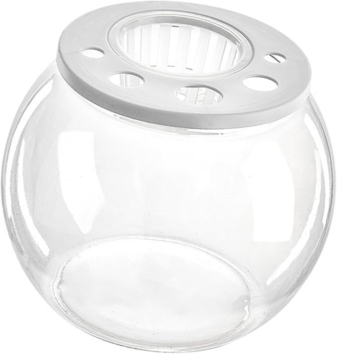 Aquarium Bowl Tabletop with Open Cover for DIY Micro Landscape in Cafe Dorm Room, Round