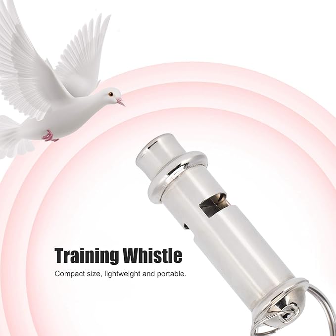 Pigeons Whistle, Silver Training Whistle, with Lanyard Mini Portable Anti‑ for Pigeons for Young Pigeons for Bird for Homing Pigeon