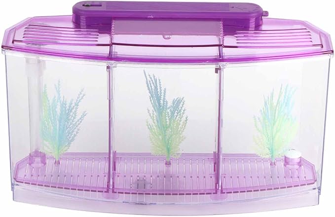 GLOGLOW TripleChamber Fish Breeder Box for Aquarium, Breeding Tanks Transparent LED Acrylic Small Fishes Breeding Isolation Box with Six LED Lights and Water Change Valve Breeder (Purple)