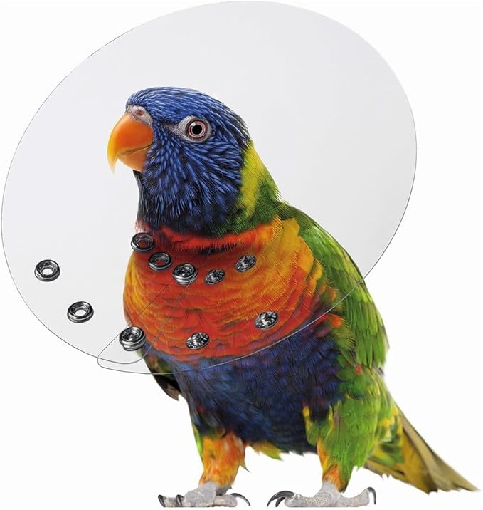 KVP Bird E-Collar, 2.75-3.5"/6"