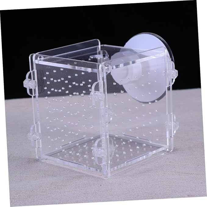 Mobestech Acrylic Fish Breeding Box with Divider 8x8x8.8cm Aquarium Fish Isolation Case Breeder Container for Betta Fry Shrimp Hatchery