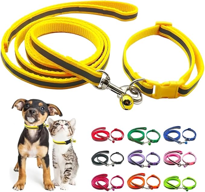 Orange Cat Collar and Leash Set, Reflective Puppy Collar and Leash Adjustable Quick Release Dog Collars for Small Dogs with Bell for Tiny Little XXS XS Extra Small Breed Pets Kittens Girls Boys
