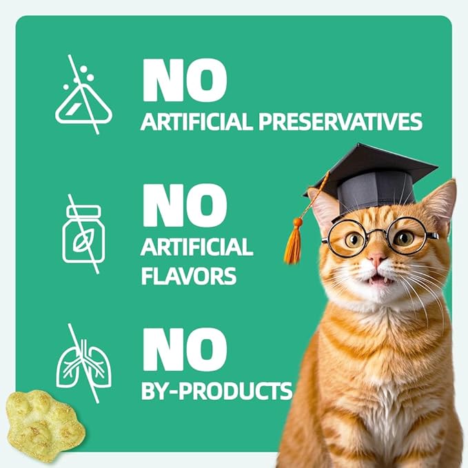 Wellix 13.05oz Catnip Treats for Cats -Healthy Cat Treats for Indoor Cat with Digestive Support - Crunchy Kitten Snacks for Training Biscuits,Food Toppers,Dental Chews with Real Salmon