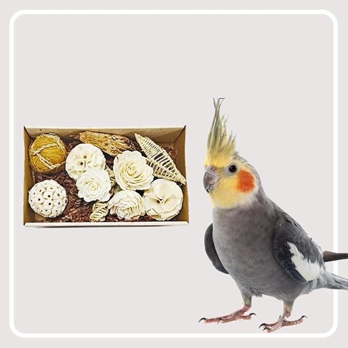 Bird Toys Bird Foraging Shredding Chewing Parrot Foraging Shredding Toys Chewing Toy Birdcage Accessories for Conures Caiques Cockatiel Budgies Parakeet and Small to Medium Birds