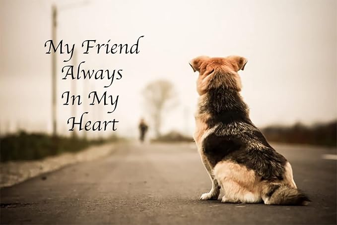 Pet Cremation Urns for Dogs Cats Ashes, Up to 60 lbs Dogs Cats Memorial Keepsake Urns for Ashes-Medium (Paw in Heart)