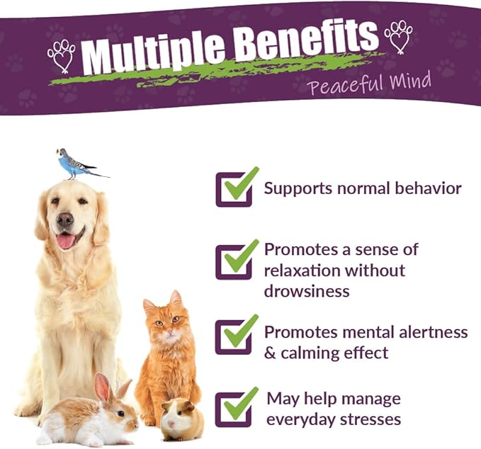 AMBER NATURALZ Pyntril Peaceful Mind Herbal Supplement for Dogs, Cats, Birds, Guinea Pigs, and Rabbits | Herbal Pet Supplement for Relaxation | 4 Fluid Ounce Glass Bottle | Manufactured in The USA