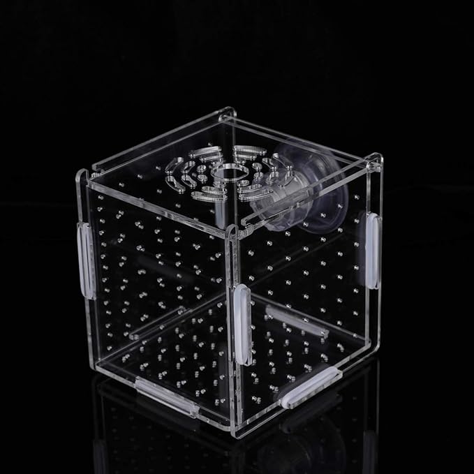 Fish Breeding Box- Box Hatchery Incubator Aquarium Fish Breeding Boxes Divider Hatching Boxes Accessory for Small Shrimp Clownfish Guppy-Small Suction Cup