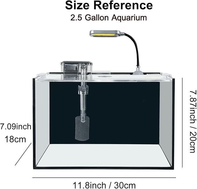2.5 Gallon Fish Tank Starter Kits, with Led Light, Filter Pump, Cover, Small Fish Tank Betta Aquarium (30x18x20CM)