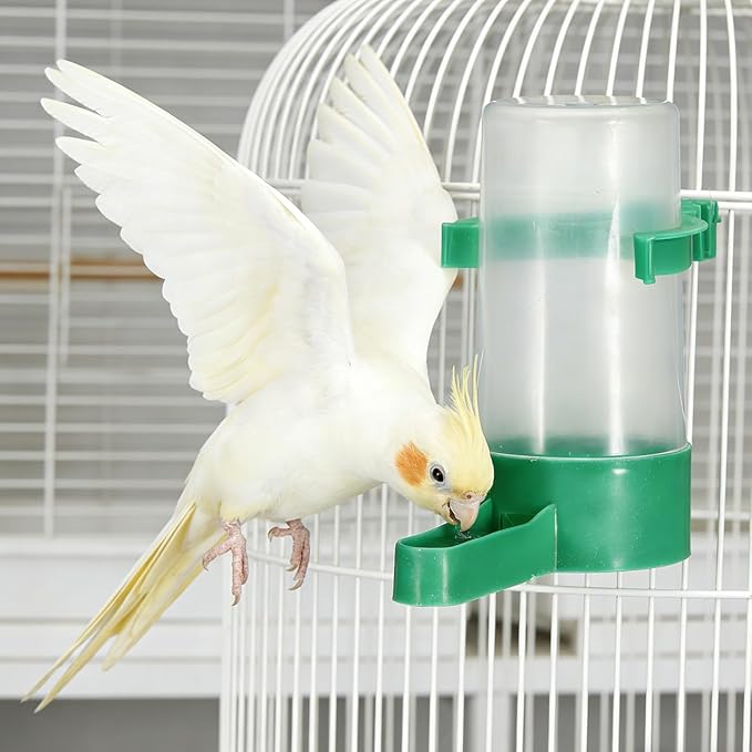 30 pcs Bird Water Dispenser: Budgie Perky Bottle Bowls Cage Feeder Birds Clips Small Cage, Budgie Food Feeders Plastic No Waterer, Wild Bowl Leak Food Doves Bottles Poultry Quail Accessories Baths