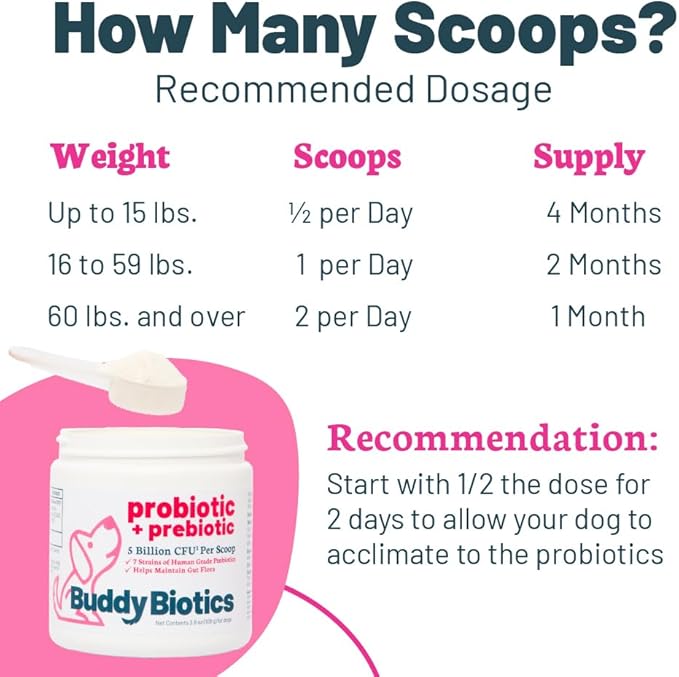 Probiotic + Prebiotic Powder for Dogs – 7 Probiotic Strains with Prebiotic FOS, Supports Gut Flora, Digestive & Immune Health, 5 Billion CFU per Scoop