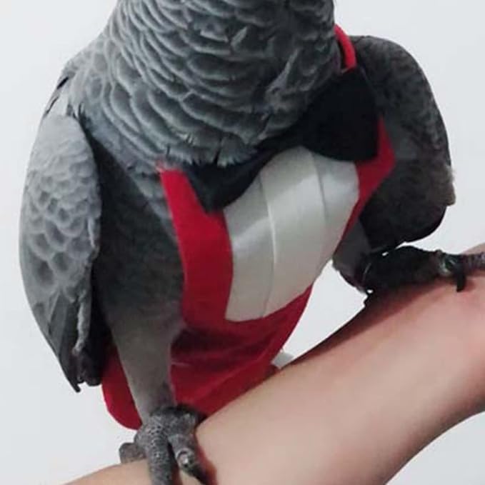 Bird Flight Suits Diapers, Parrot Flight Suits Diapers for Monk Parakeets, Cockatiels Flight Suits, Parrot Clothes, Bird Training Nappy Suit Liners Clothes (Small,Red)