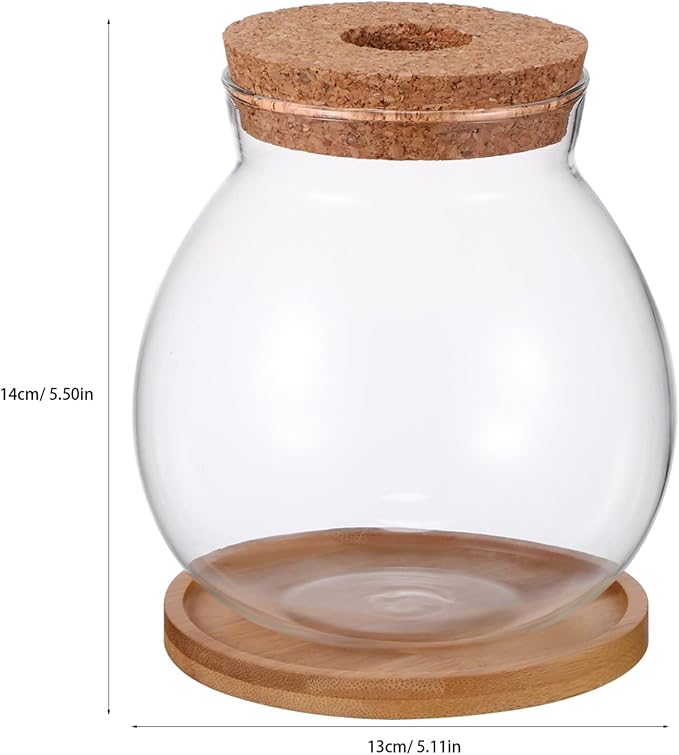 Desktop Fish Tank Small Glass Fish Bowl with Cushion 5.51X5.11X1.18In Hydroponic Plant Terrarium Betta Bowl for Home Office Decoration