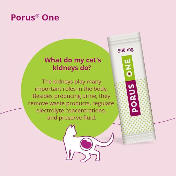Porus One, 500mg, 30ct