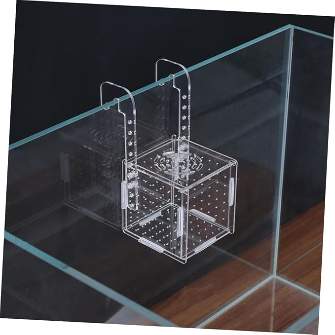 2pcs Transparent Fish Tank Breeding Isolation for Protecting Fish and Ensuring Water Aquariums