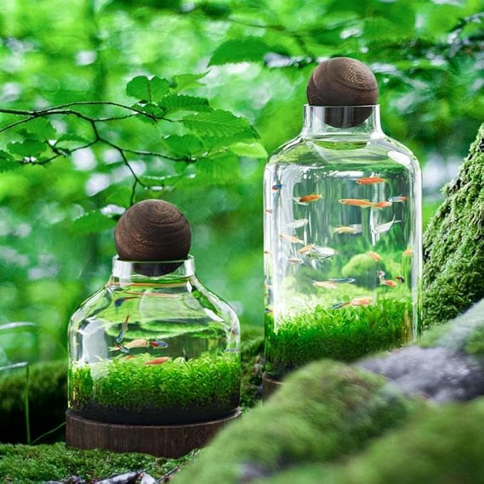 Ecological Aquarium Glass Fish Tank with Wooden Base Micro Landscape Self-circulating Hydroponic Plant Bottle Fish Bowl/Vase(S, A)