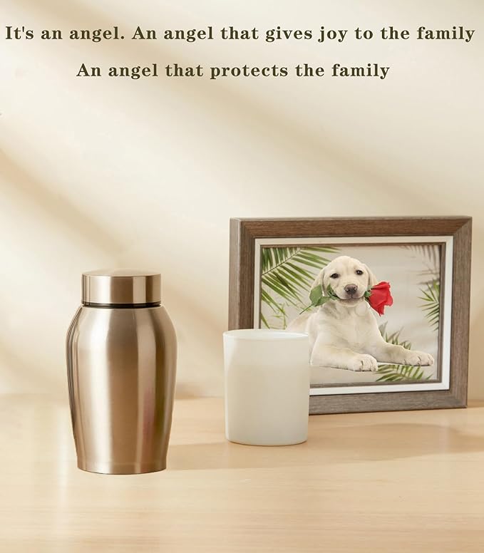 Small Memorials Cremation Urns for Dogs Cats Ashes Stainless Steel Silver Pet Urns Funerary