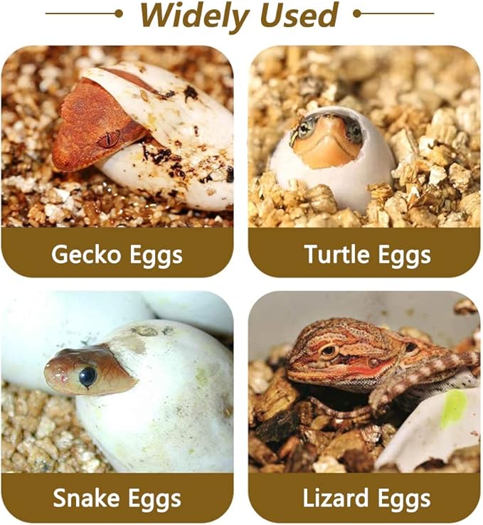 16-Grid Reptile Breeding Box - Professional Plastic Incubator for Gecko, Lizard & Mane Hatching