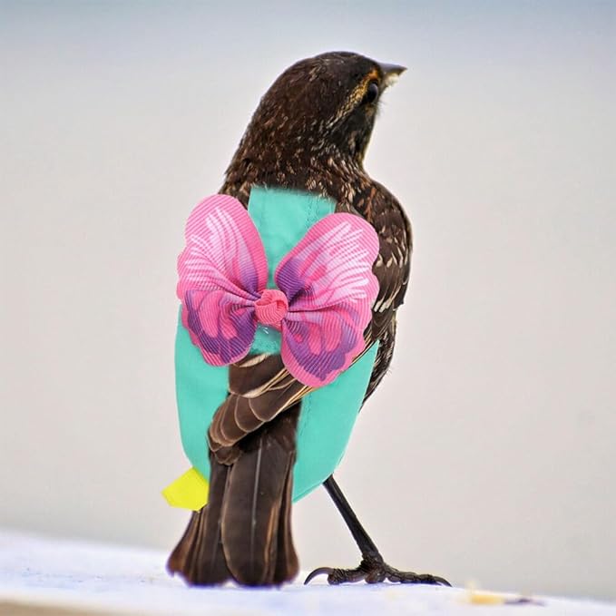 POPETPOP Bird Costume Diapers Bird Harness Flight Suit Clothes with Flying Leash Washable Parrot Reusable Flight Suit Diaper for Parrots Cockatiel s