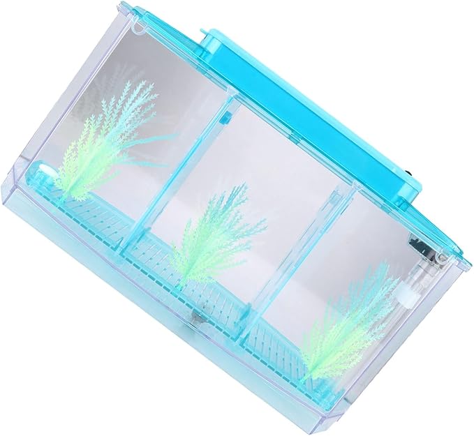 Fockety Breeding Fish Tank LED Acrylic, Three Divisions Isolation Box for Small Fishes with Artificial Grass, Water Change Valve and Filter Bubble Head with Activated Carbon (Blue)