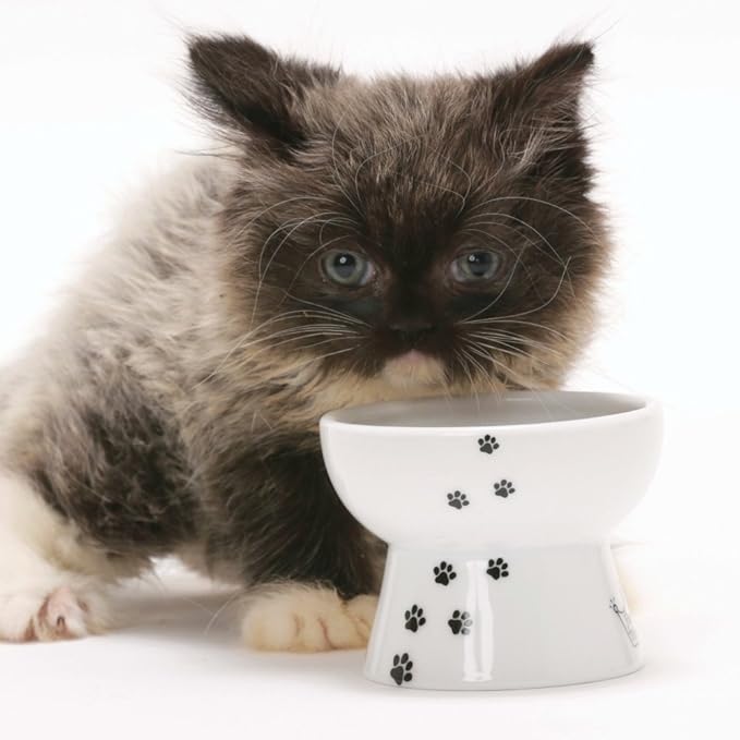 Necoichi Raised Cat Food Bowl – Ceramic Elevated Cat Bowl for Whisker & Neck Fatigue, Dishwasher Microwave Safe – Non-Slip & Anti Vomiting Ergonomic Design (Cats, Mini)
