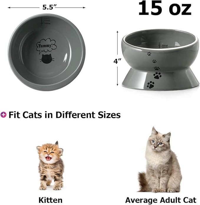 Y YHY Elevated Cat Food Bowl, Raised Pet Food and Water Bowl, Ceramic, 15oz