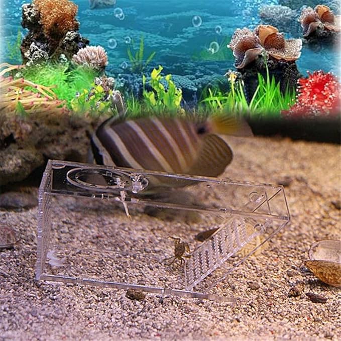 Acrylic Aquarium Crab Trap Fish Tank Shrimp Snail Catcher One Way Valve Box