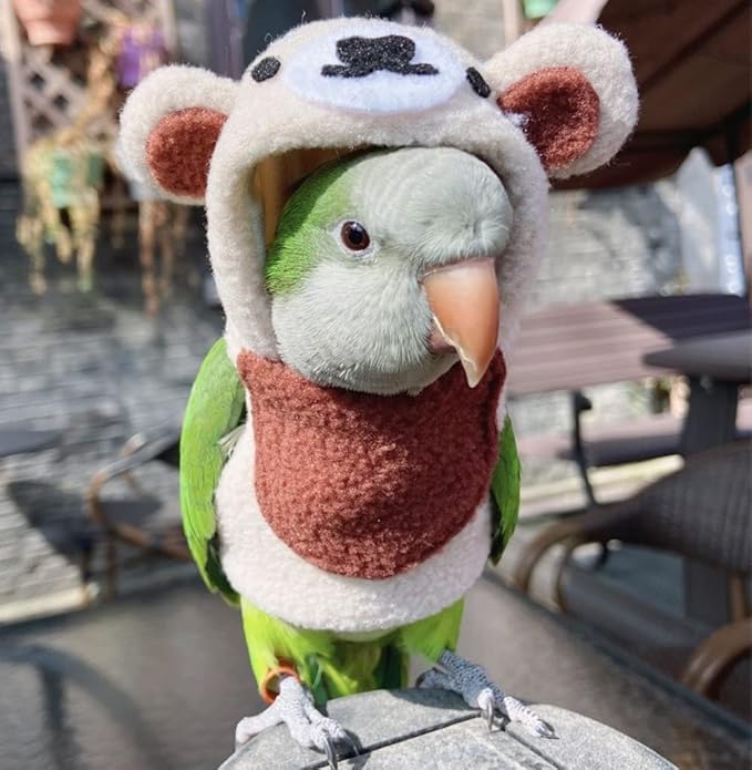 Bird Costume Bird Diaper Flight Suit Bird Bear Shape Bird Clothes Cosplay Photo Prop for Parrots Lovebird Parakeet Cockatiel Small Animals Apparel (Without Diaper,Senegal)