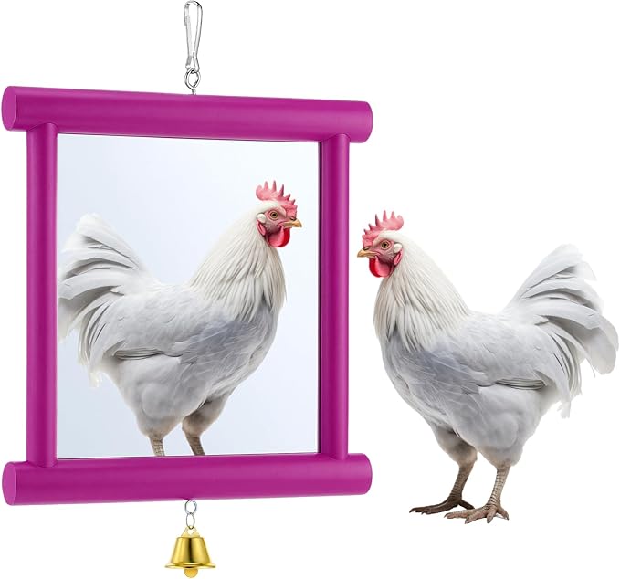 Sadnyy 1 Pcs Chicken Mirror Toys Extra Large 10.6 x 10 Inch Big Hanging Swing Mirror with Bell Wooden Pecking Toy for Hens Birds Parrots Coop Roosters (Square,Rose Red)
