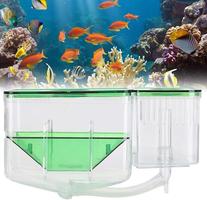 Fish Breeding Box, Transparent Aquarium Little Fish Breeding Hatching Box, Fish Tanks Double Layer Isolation Box Hatchery Incubator for Injured Small Fish Shrimp