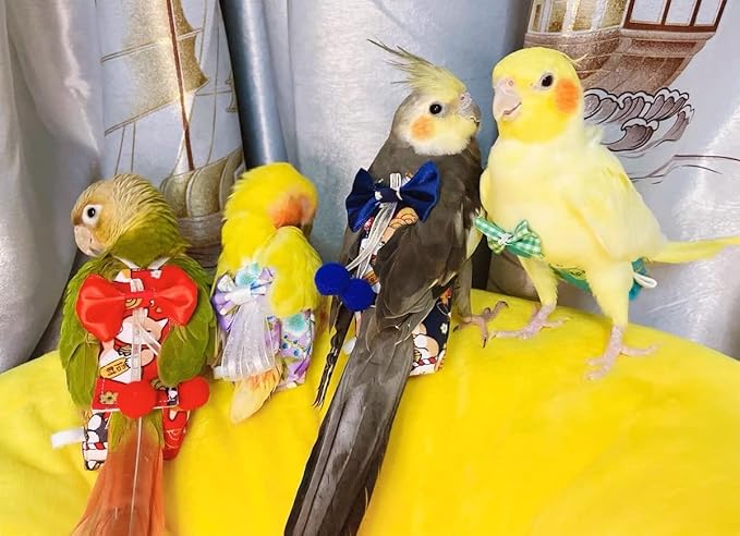 Bird Flight Suits Diapers, Parrot Diapers for Monk Parakeets, Cockatiels, Parrot Clothes Costume, Bird Training Nappy Suit Liners Clothes (Small,Blue-B)