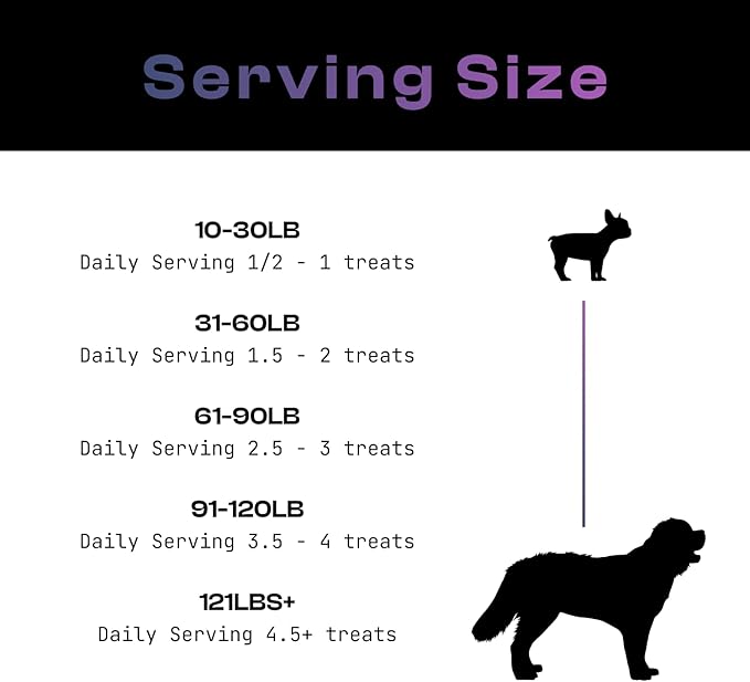 MDRNpup® Unique Dog Treats, Human Grade and All-Natural, Only Four Ingredients, High Protein - Amino Acids, Nothing Artificial, Soft Baked in The USA (13.2 Ounce, Chickpea & Pumpkin)