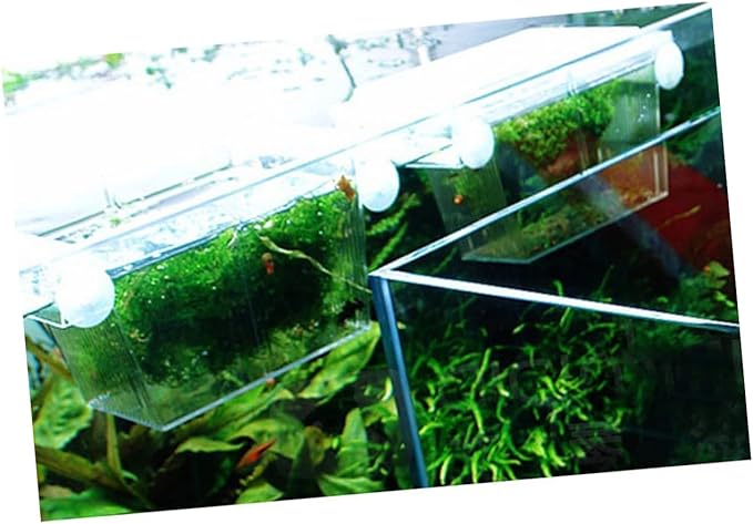 FRCOLOR 2pcs Aquarium Self-Floating Fish Breeding Isolation Box Transparent Fish Hatchery Incubator for Guppies and Bettas Prevents Aggressive for Separation