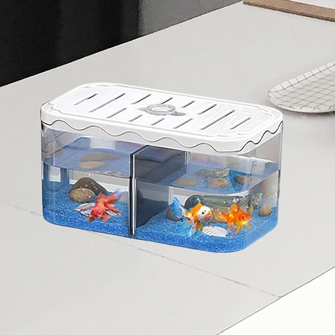 Aquarium Breeding Box Tabletop Fish Tank Versatile Acclimation Hatchery with Removable Divider for Guppy Betta Desk, White