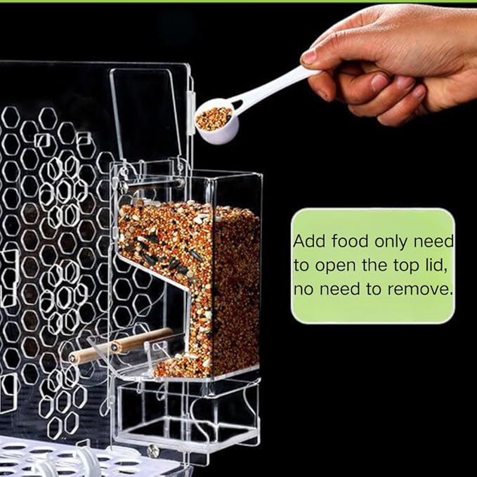 Automatic Bird Feeder, No Mess, Transparent Acrylic, Reducing Waste, Bird Cage Accessories for Parakeet, Canary, Cockatiel, Finch, Conure (Medium)