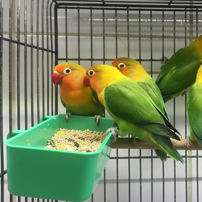 18 Pcs Bird Plastic Feeder, Seed Food Cage Hanging Food Bowl Feeding Dish for Poultry Pigeon Parrot Parakeet Budgie