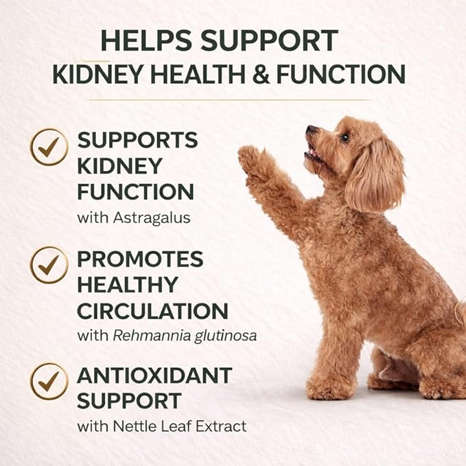 VetriScience Kidney Health Chewable Tablets, Renal Essentials Supplement for Dogs, Urinary Tract and Kidney Support with Mushroom, Astragalus Root, Nettle Seed and Herbs, Smoke, 60 Count