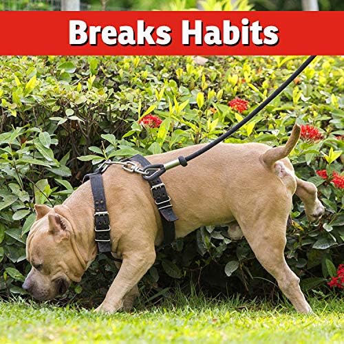 IMUSTGARDEN Dog and Cat Repellent: All Natural Spray to Stop Chewing and Repel from Yards, Plants, and Gardens – 32oz Easy Spray Bottle