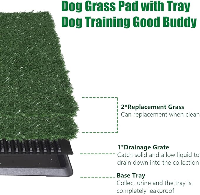 LITA Indoor Dog Litter Box for Pet Training, Potty System (20x25)