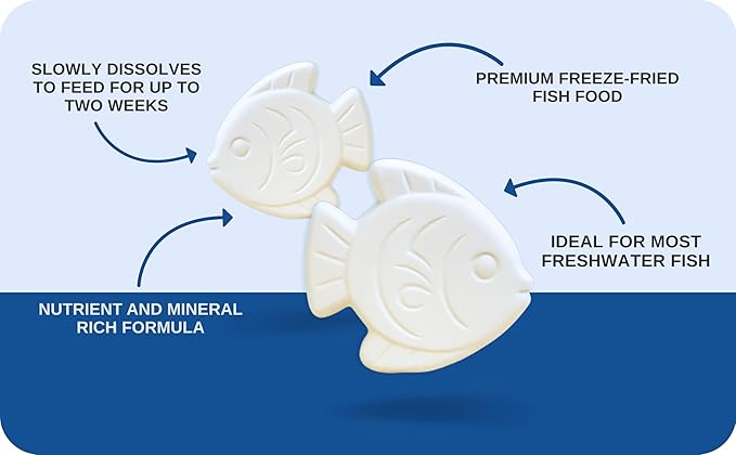 Vacation Feeder for Aquarium - 14 Day Feeder Block - Slow Release Fish Food for Betta, Goldfish & Tropical Fish - Aquatic Pet Tank Food (2 Packs of 2 Blocks)