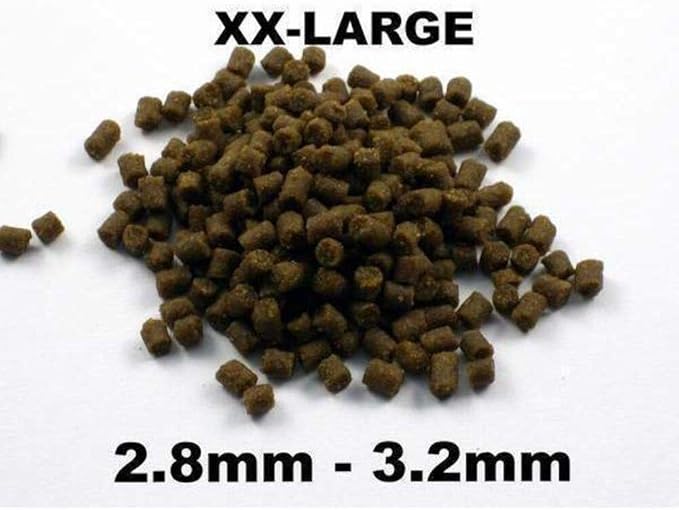 Bassleer Regular BioFish Food - Formulated for Optimal Fish Health (X-Lrg, 170g)